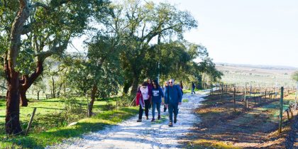 Passeio Pedestre Vinhas de Outubro